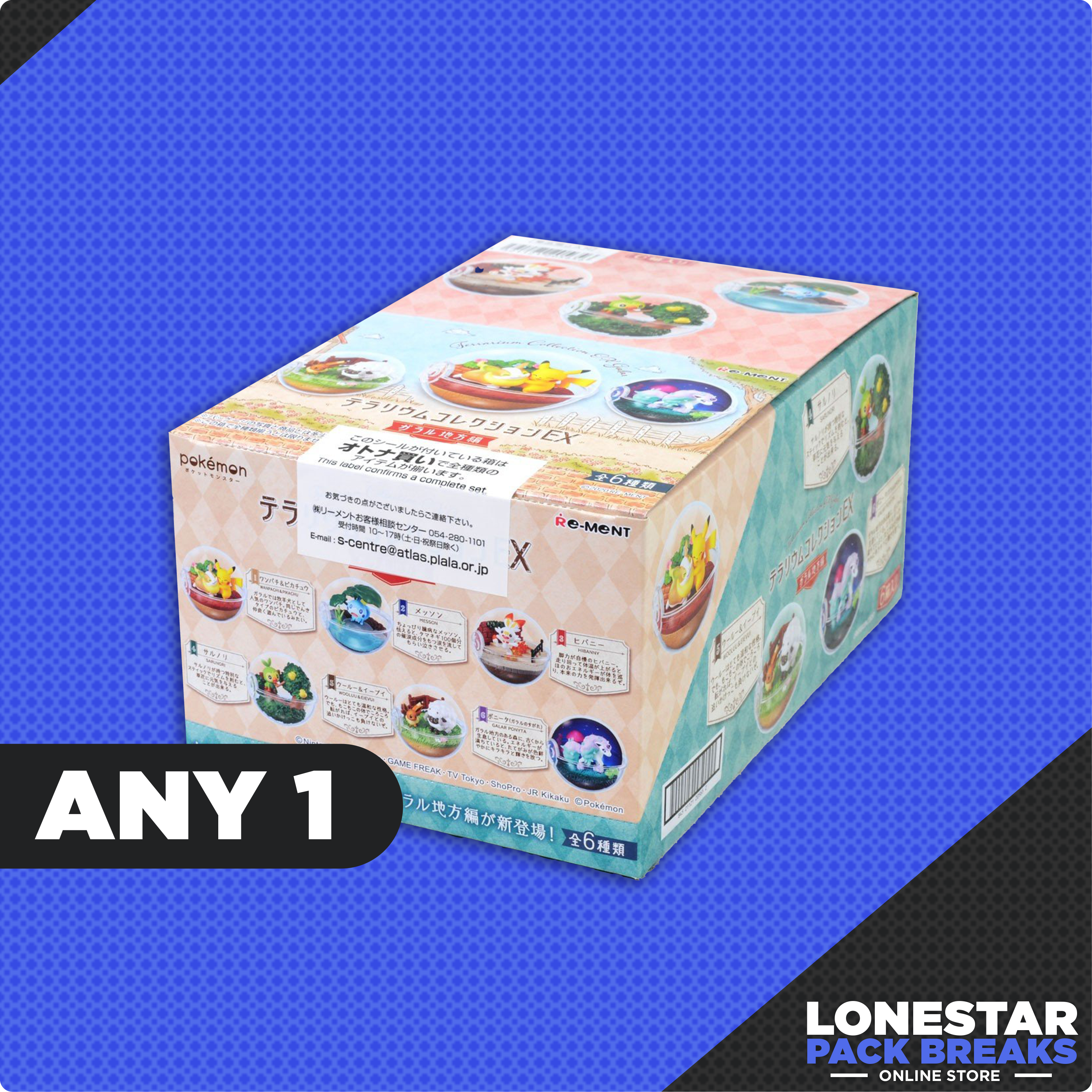 Pokemon Terrarium Collection Galar EX 1