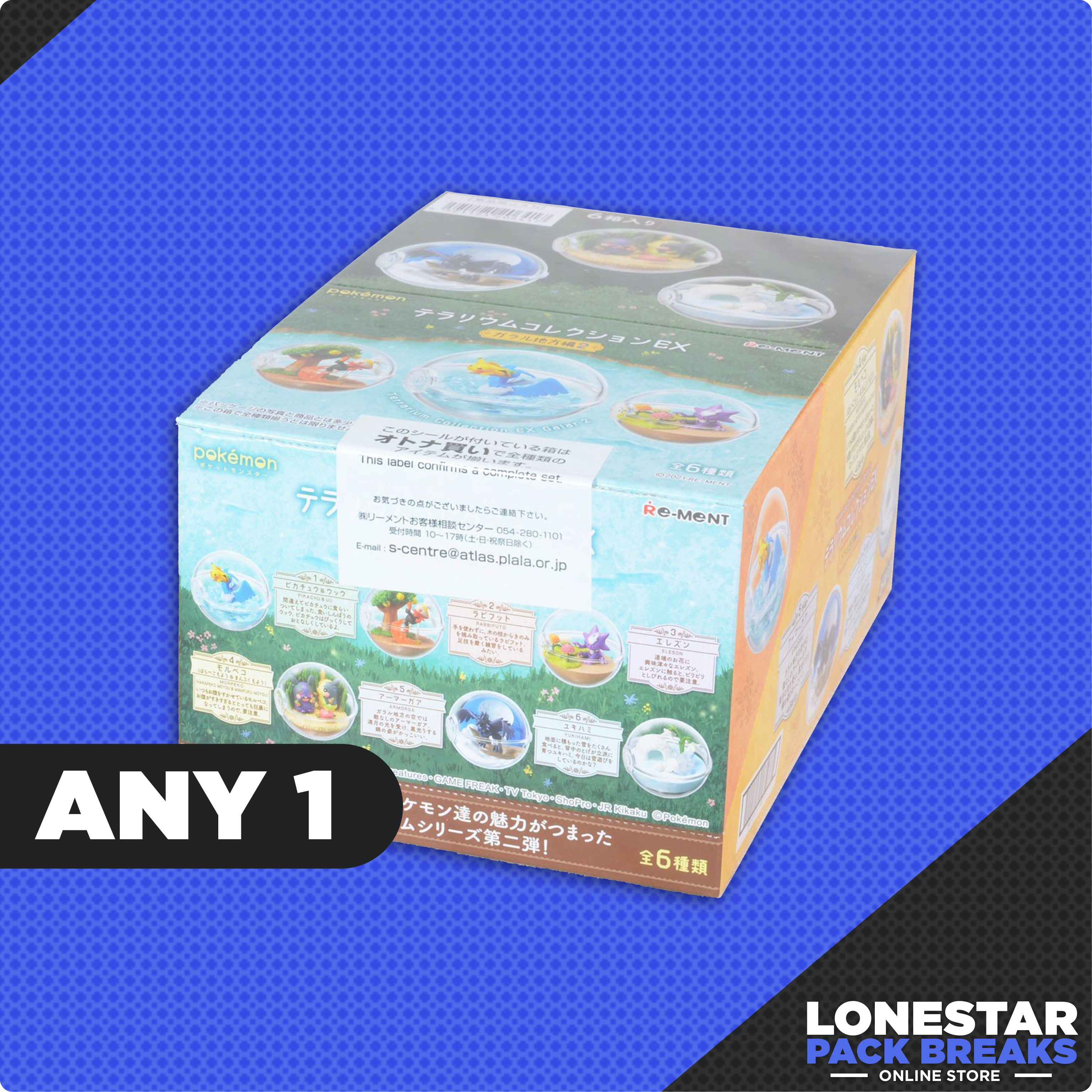 Pokemon Terrarium Collection Galar EX 2