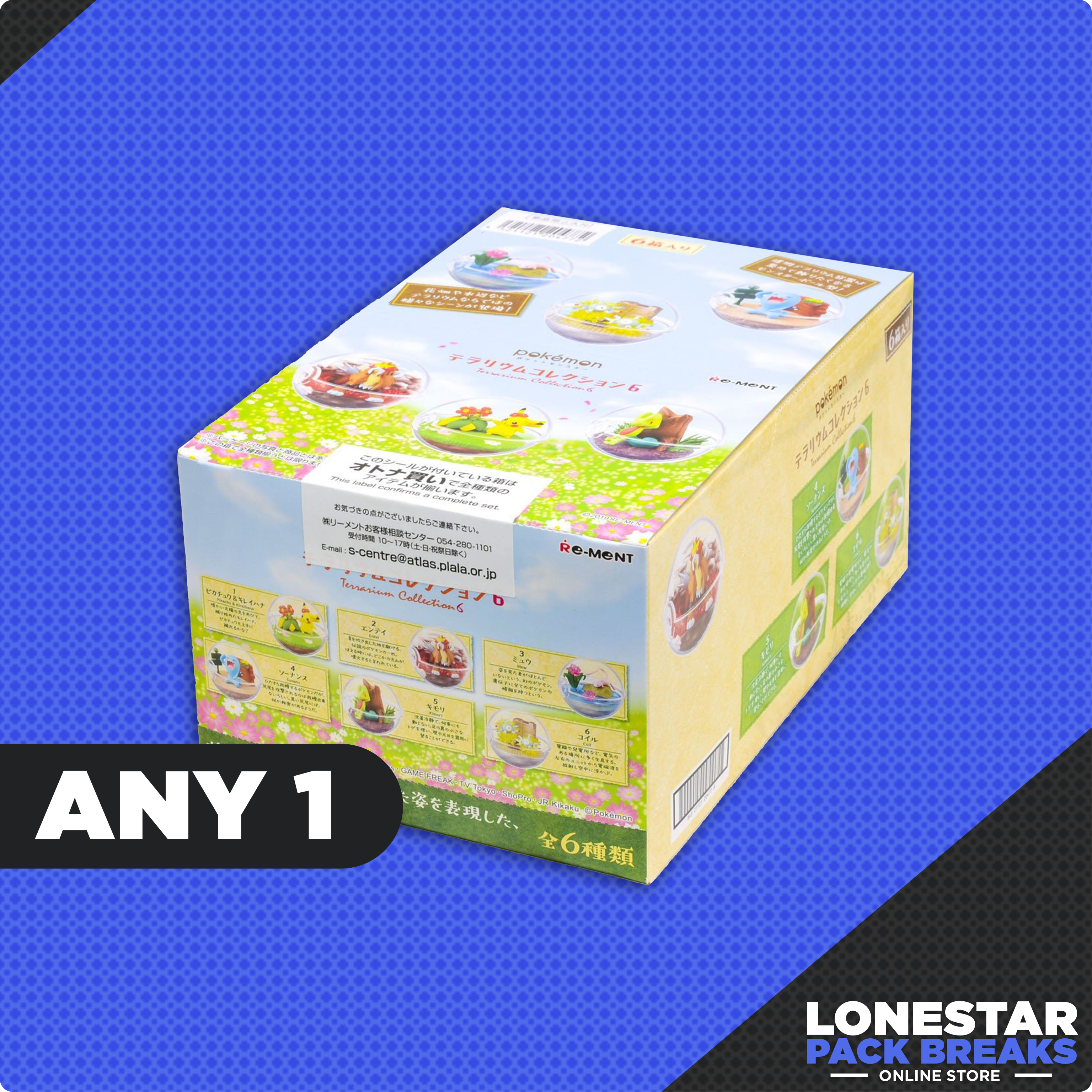 Pokemon Terrarium Collection 6